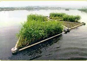Isla flotante vegetada